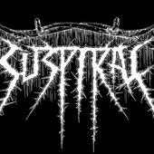 Suspiral logo