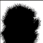 Avatar for greendajzer