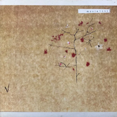 The Blossom Filled Streets (2000)