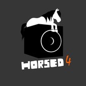 Horsed Album 4