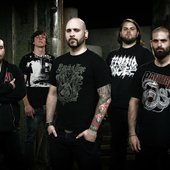 new line up
