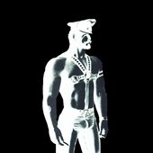 theharnesscover copy 2.jpg