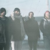 walrus-pic-e1493954226556.jpg