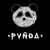 pvnda-a 的头像