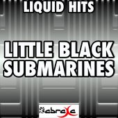 Little Black Submarines - Tribute to The Black Keys