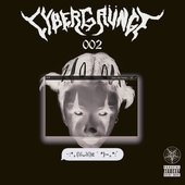 cybergrünge 002