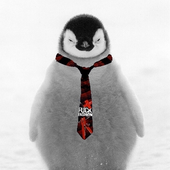 Avatar for NTRLHighPenguin