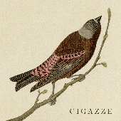cigazze (rosy)