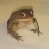 mjroblesca_ 的头像