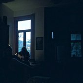the woods house