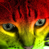 Avatar for Capivarawave