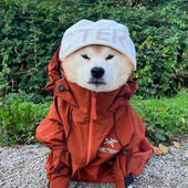 ToastyHasIssues 的头像