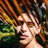Lost in the jungle