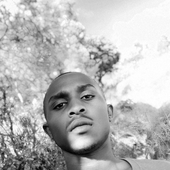 Avatar for simbaneric