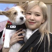 dyeon 的头像
