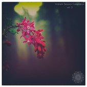 Ambient Sessions Compilation vol.2