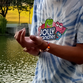 pxp0601 的头像