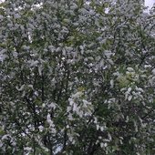 IMG_20260318_094314_926.jpg