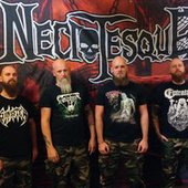 https://necrotesque-deathmetal.bandcamp.com/releases