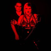 Die Sexual — 2025