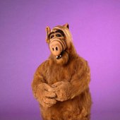 Alf 1