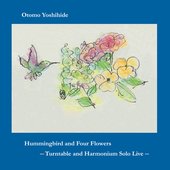 Hummingbird and Four Flowers: Turntable and Harmonium Solo Live