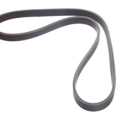 Awatar dla serpentinebelt