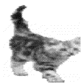 Avatar für ddddx