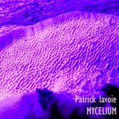 Mycelium