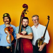 The Lonesome Ace Stringband