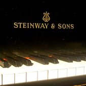 The Joel Zelnik Jazz Trio at "Steinway Hall"