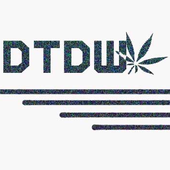 dtdw 的头像