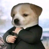 Maisery 的头像