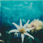 Slow Riot EP - Single