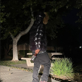 axx