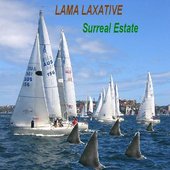 Surreal Estate