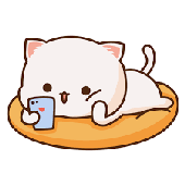 catnip911 的头像