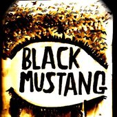 the black mustangs