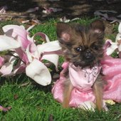 She's A Super Cute!