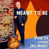 Meant to Be (feat. Chieli Minucci) - Single