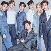 High Cut