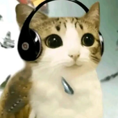 Avatar for wesposting