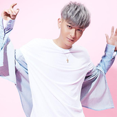 Z.TAO 