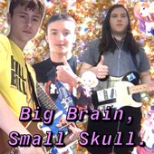 Big Brain, Small Skull.