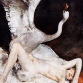 official cover