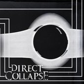 Direct Collapse