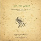 Poemas de Juan L. Ortiz Canciones
