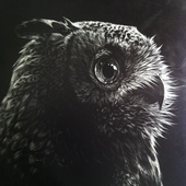 Avatar for Cyber_Owl