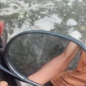 El Sleguer