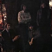The Advocates.jpg